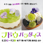 ブドウパラダイス(25/8/20→9/2)