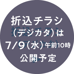 折叠式传单