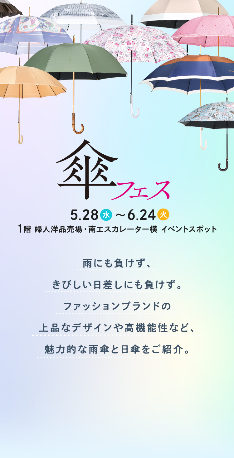 伞节
