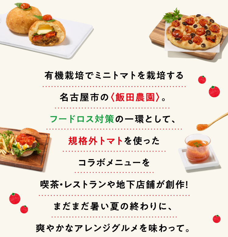 有機栽培でミニトマトを栽培する名古屋市の飯田農園。