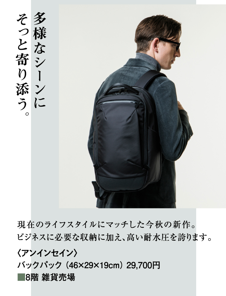 アンインセイン