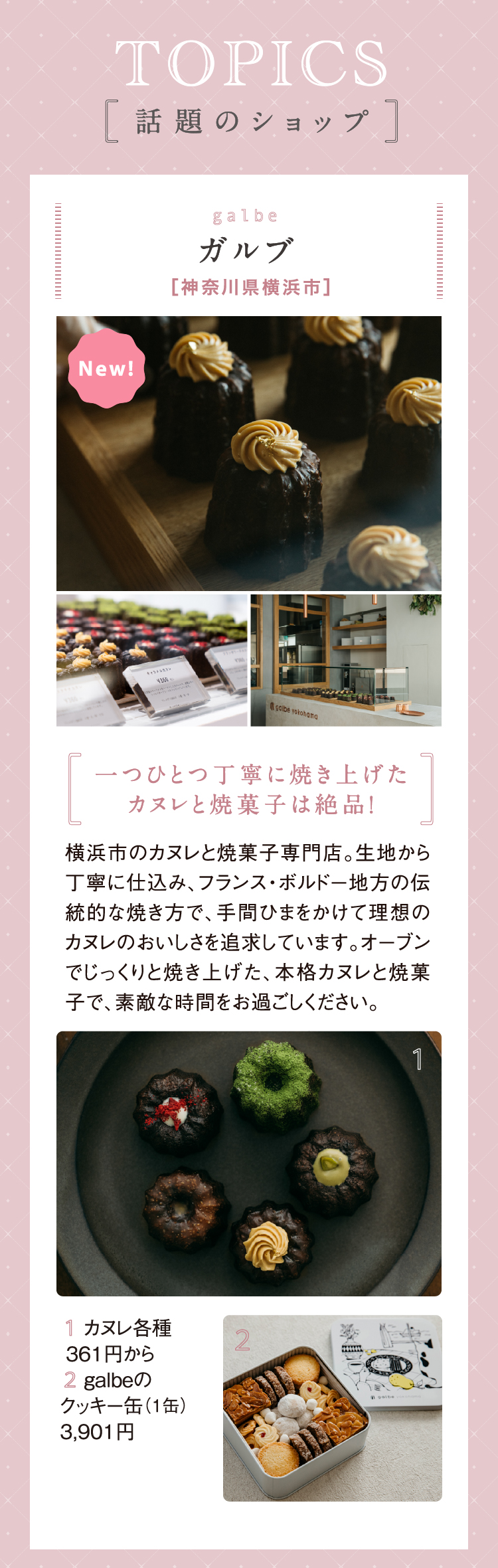 ガルブ