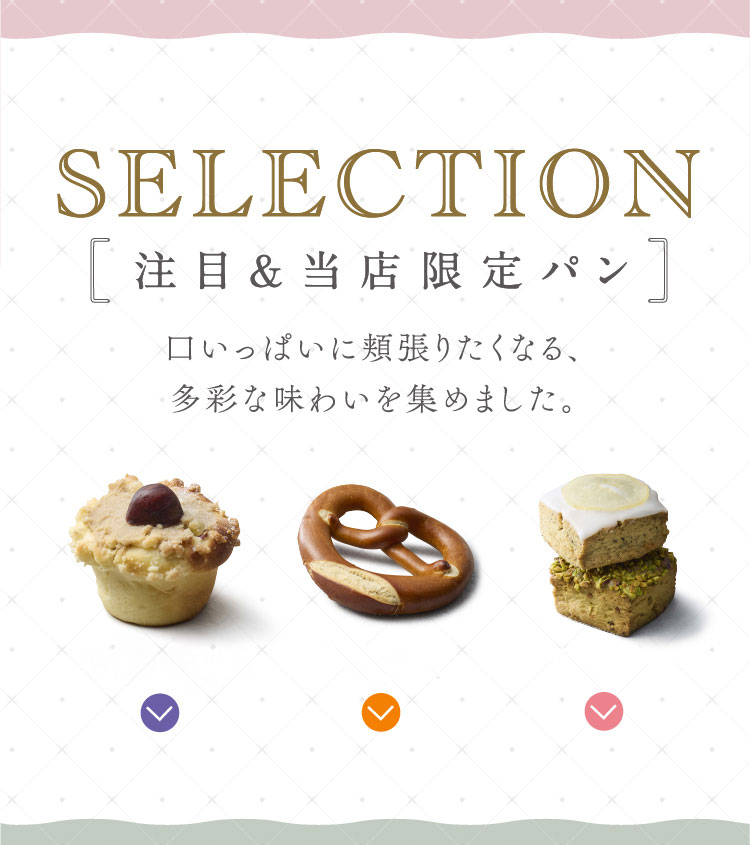 SELECTION