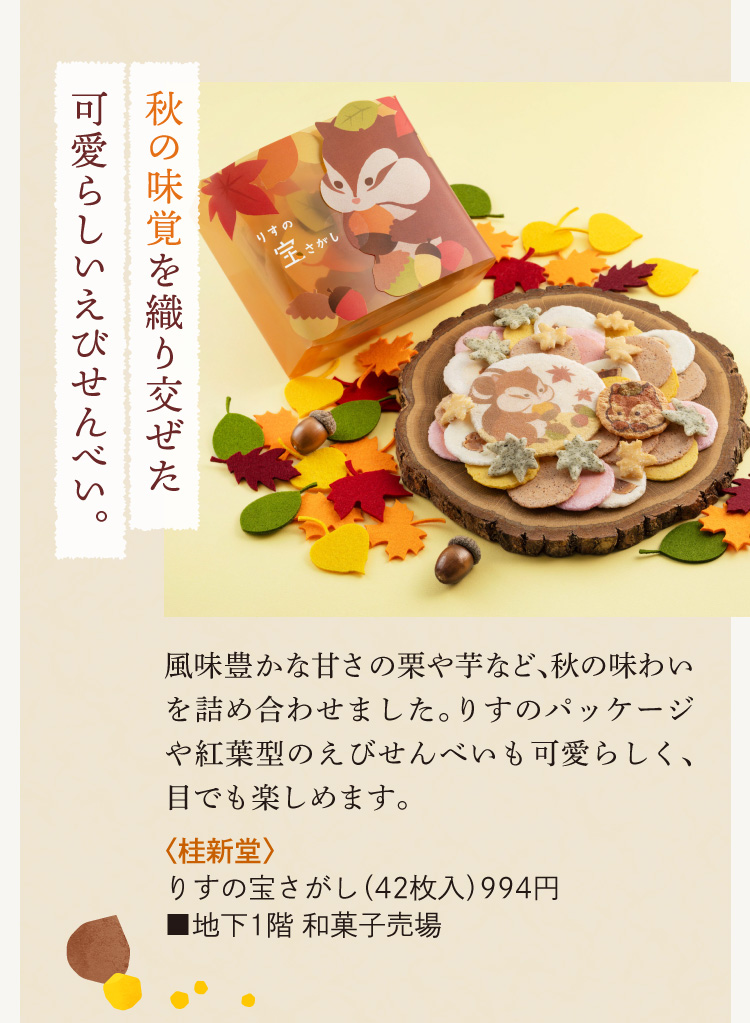 〈桂新堂〉りすの宝さがし