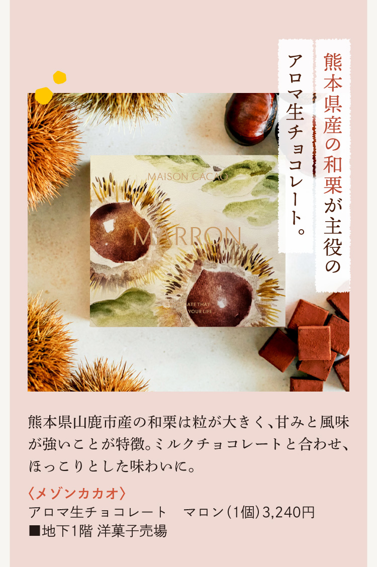 〈メゾンカカオ〉アロマ生チョコレート マロン