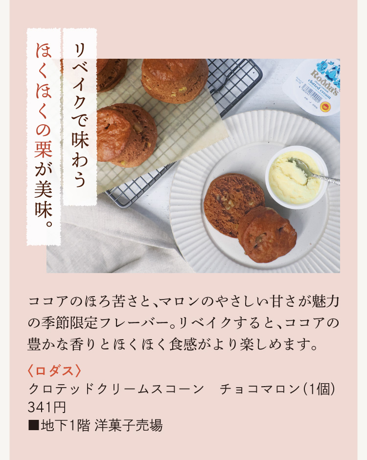 〈ロダス〉クロテッドクリームスコーン チョコマロン