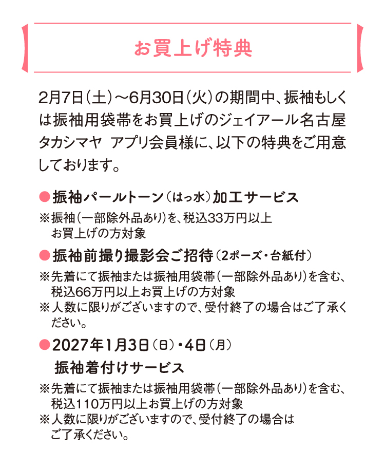 京友禅振袖6点セット