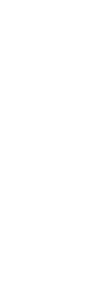 さりげなく置いて食卓を優雅に演出。