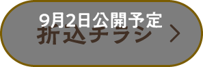 折り込みチラシ