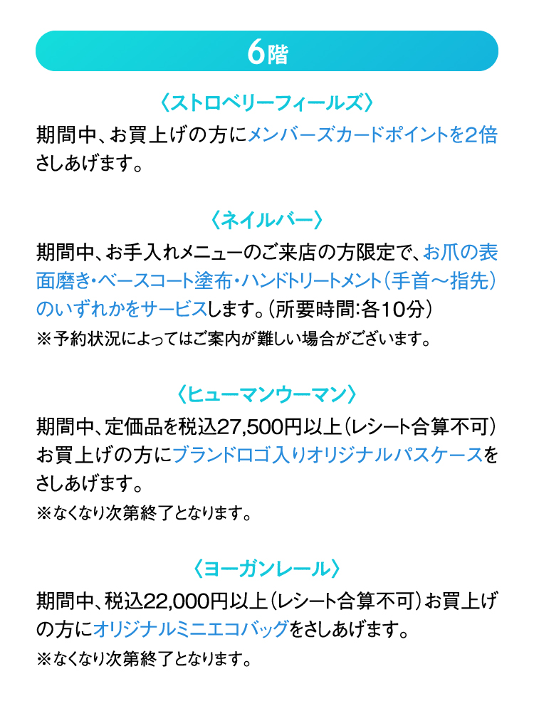 6階
