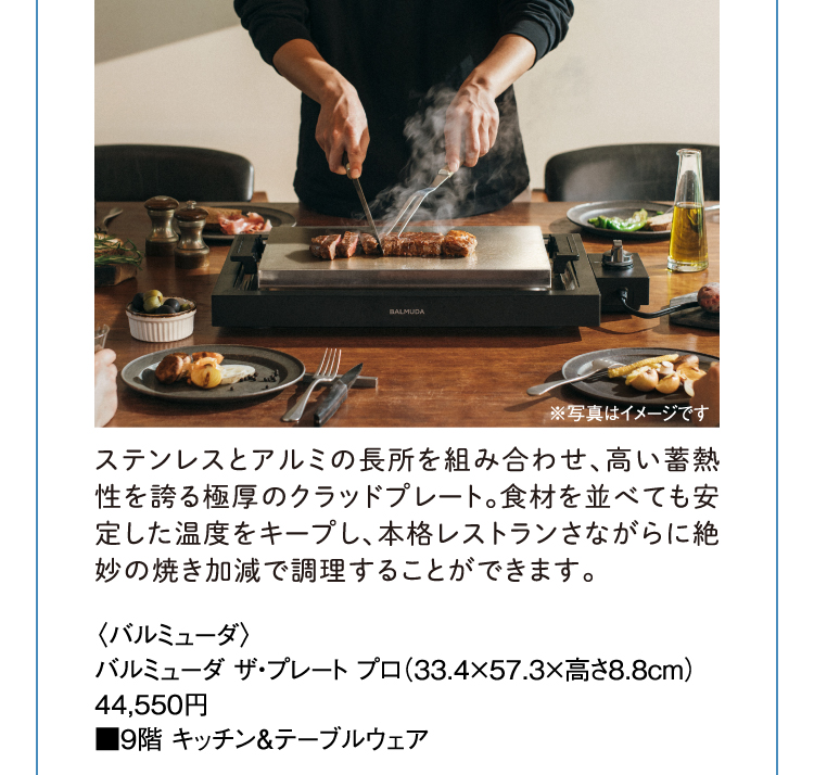 〈バルミューダ〉バルミューダ ザ・プレート プロ