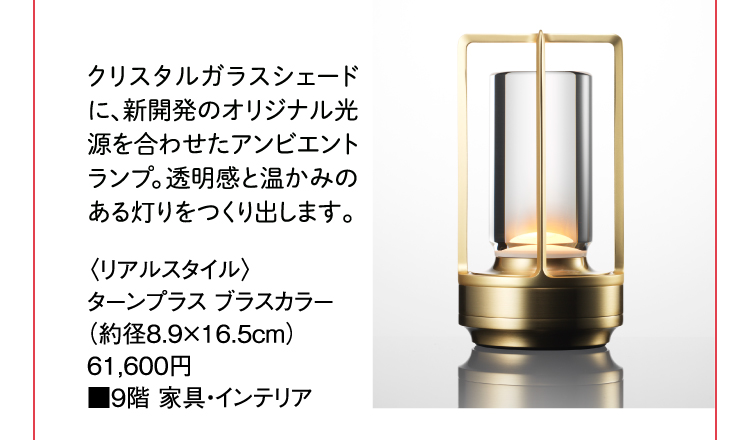 〈リアルスタイル〉ターンプラス ブラスカラー