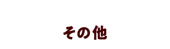 その他
