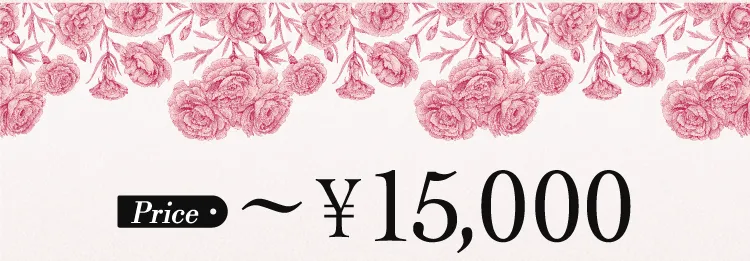 Price 〜¥15,000