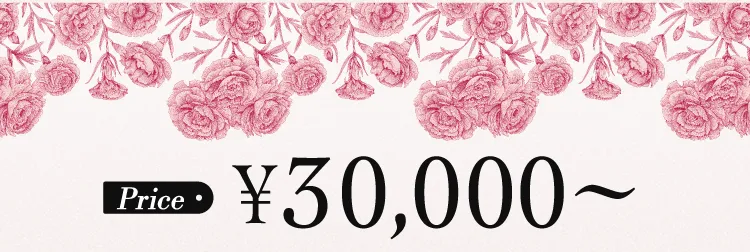 Price ¥30,000〜