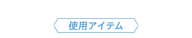 使用アイテム