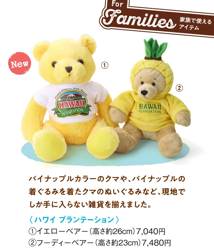 〈ハワイ プランテーション〉イエローベアー、フーディーベア