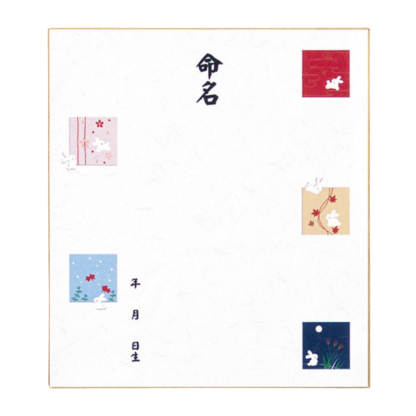 Nomenclature Book