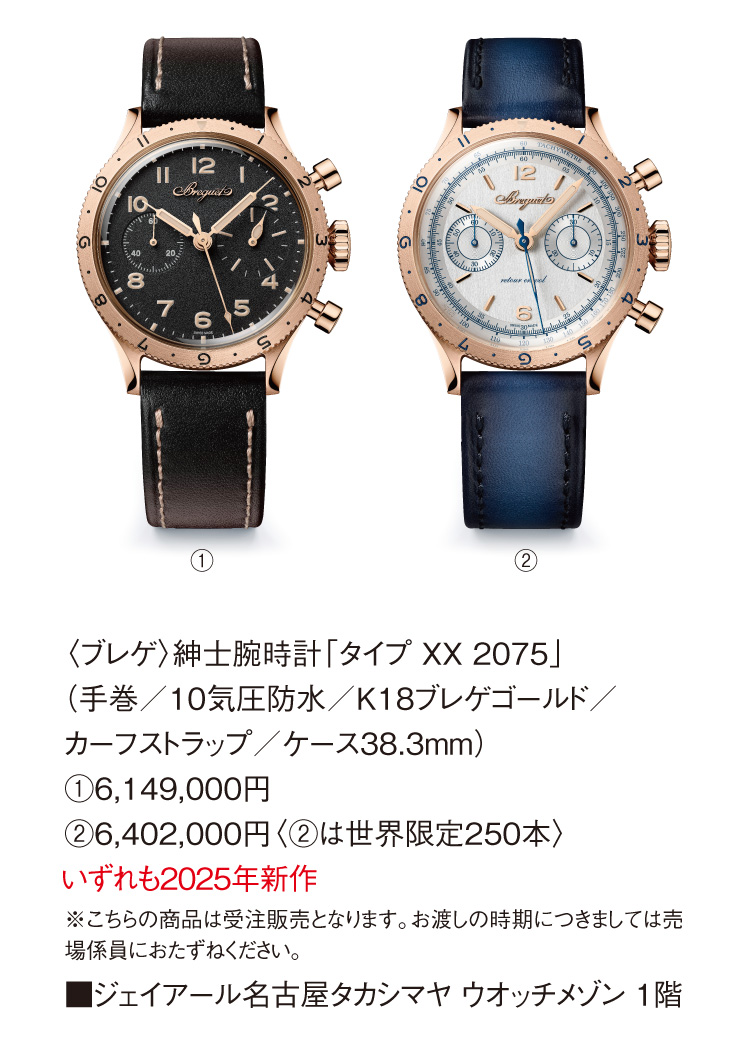 Breguet Gentleman's watch "Type XX 2075"