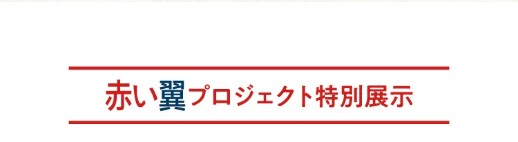 붉은 날개 프로젝트 특별 전시
