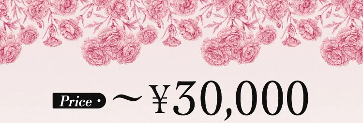 Price 〜¥30,000