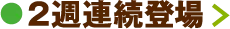 2주 연속 등장