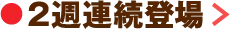 2주 연속 등장