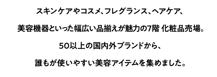 수집료 누구도 용이 사용적 미용 전안