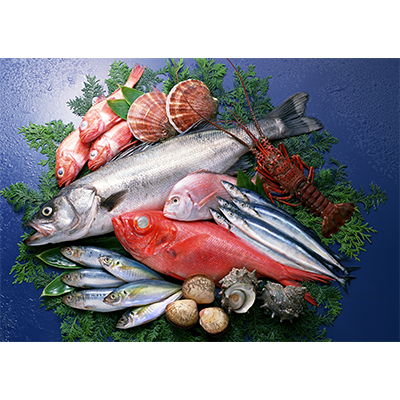 Tsukiji Nakajima Suisan