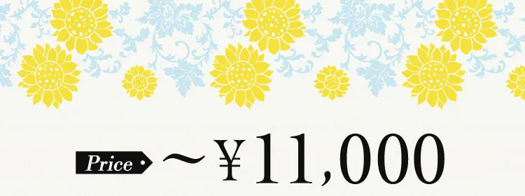 Price 〜¥11,000