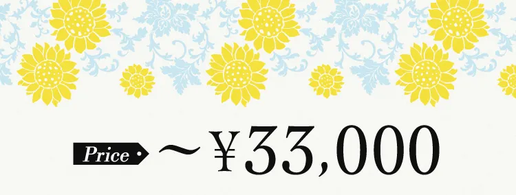 Price 〜¥33,000