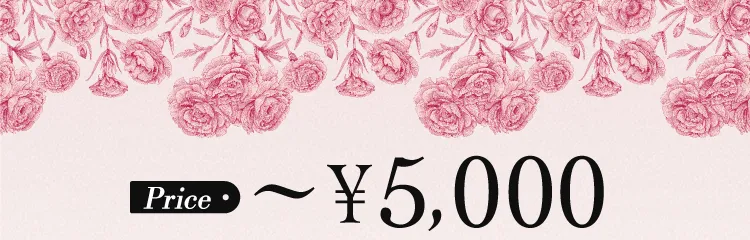 Price 〜¥5,000